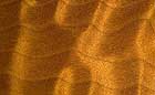 25-30 kb thumbnail JPG image of microphotograph by Doug Craft - links to larger image in right frame