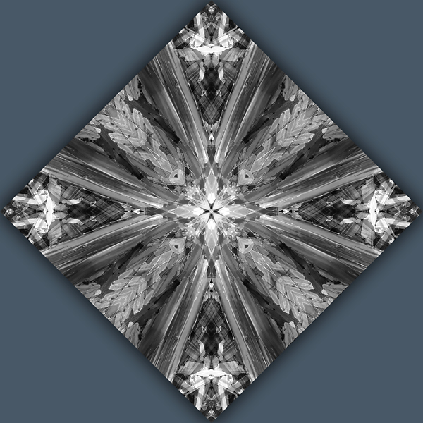 Reflection mandala collage by artist Doug Craft