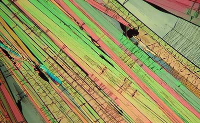 50 kb JPG microphoto of a benzoic acid crystal by Doug Craft