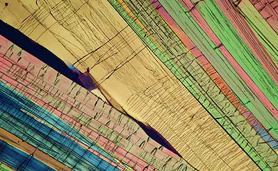 50 kb JPG microphoto of a benzoic acid crystal by Doug Craft