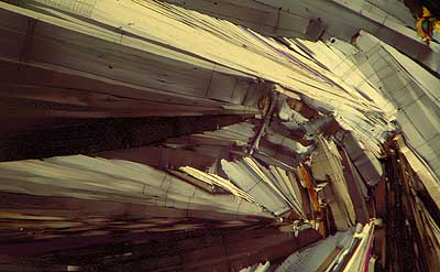 50 kb JPG microphoto of a benzoic acid crystal by Doug Craft