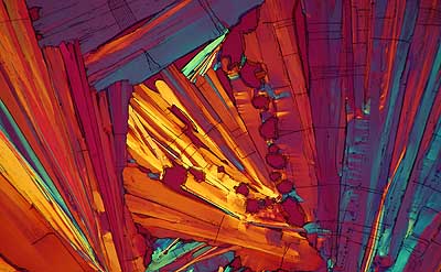 50 kb JPG microphoto of a benzoic acid crystal by Doug Craft