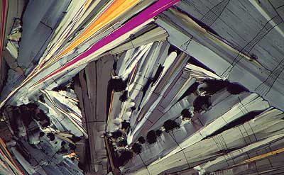 50 kb JPG microphoto of a benzoic acid crystal by Doug Craft