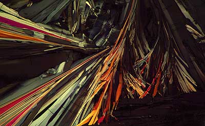 50 kb JPG microphoto of a benzoic acid crystal by Doug Craft