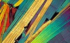 25-30 kb thumbnail JPG image of microphotograph by Doug Craft - links to larger image in right frame