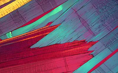 50 kb JPG microphoto of a benzoic acid crystal by Doug Craft