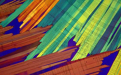 50 kb JPG microphoto of a benzoic acid crystal by Doug Craft