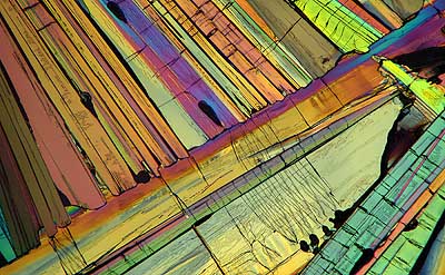 50 kb JPG microphoto of a benzoic acid crystal by Doug Craft