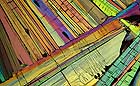 25-30 kb thumbnail JPG image of microphotograph by Doug Craft - links to larger image in right frame