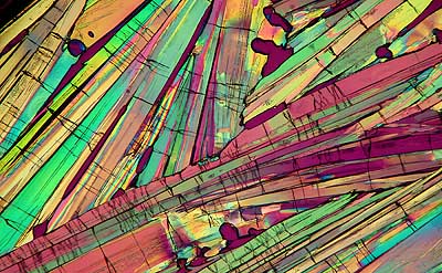 50 kb JPG microphoto of a benzoic acid crystal by Doug Craft