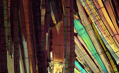 50 kb JPG microphoto of a benzoic acid crystal by Doug Craft