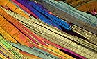 25-30 kb thumbnail JPG image of microphotograph by Doug Craft - links to larger image in right frame