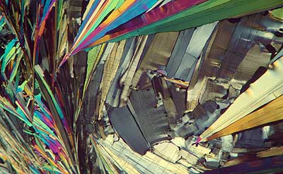 50 kb JPG microphoto of a benzoic acid crystal by Doug Craft