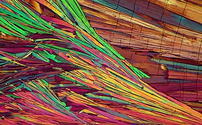 50 kb JPG microphoto of a benzoic acid crystal by Doug Craft