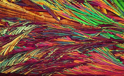 50 kb JPG microphoto of a benzoic acid crystal by Doug Craft