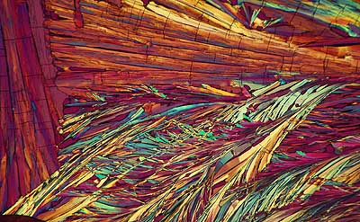 50 kb JPG microphoto of a benzoic acid crystal by Doug Craft