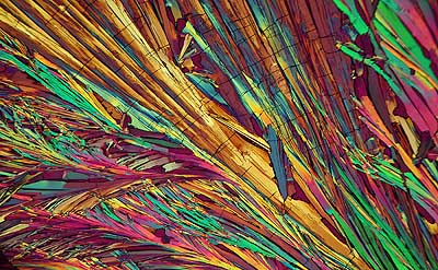 50 kb JPG microphoto of a benzoic acid crystal by Doug Craft