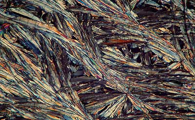 50 kb JPG microphoto of a benzoic acid crystal by Doug Craft