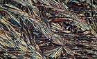 25-30 kb thumbnail JPG image of microphotograph by Doug Craft - links to larger image in right frame