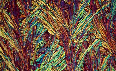 50 kb JPG microphoto of a benzoic acid crystal by Doug Craft