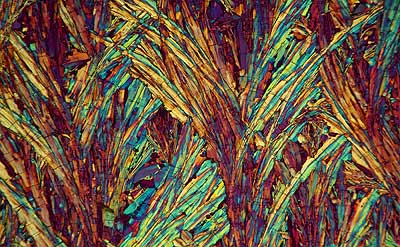 50 kb JPG microphoto of a benzoic acid crystal by Doug Craft