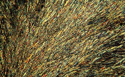 50 kb JPG microphoto of a benzoic acid crystal by Doug Craft