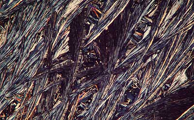 50 kb JPG microphoto of a benzoic acid crystal by Doug Craft