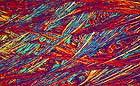 25-30 kb thumbnail JPG image of microphotograph by Doug Craft - links to larger image in right frame