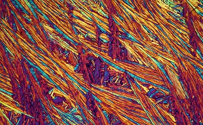 50 kb JPG microphoto of a benzoic acid crystal by Doug Craft