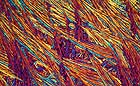 25-30 kb thumbnail JPG image of microphotograph by Doug Craft - links to larger image in right frame