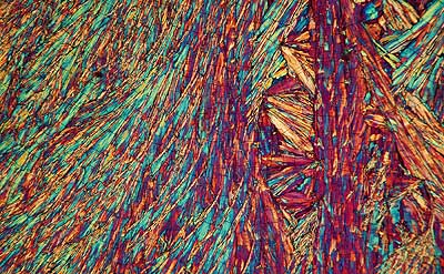 50 kb JPG microphoto of a benzoic acid crystal by Doug Craft