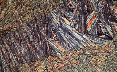 50 kb JPG microphoto of a benzoic acid crystal by Doug Craft