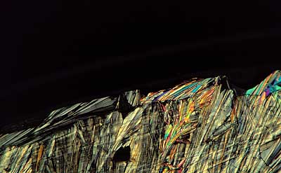 50 kb JPG microphoto of a benzoic acid crystal by Doug Craft