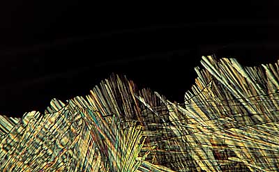 50 kb JPG microphoto of a benzoic acid crystal by Doug Craft