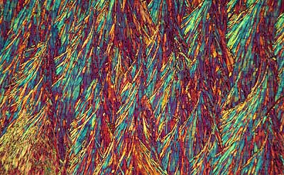 50 kb JPG microphoto of a benzoic acid crystal by Doug Craft