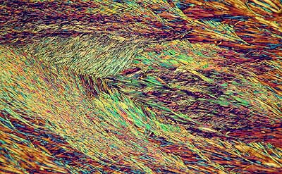 50 kb JPG microphoto of a benzoic acid crystal by Doug Craft