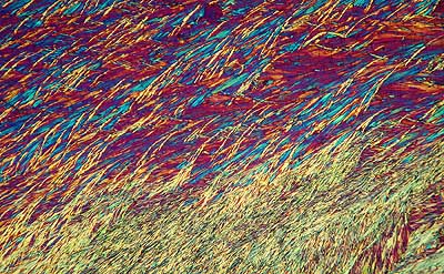 50 kb JPG microphoto of a benzoic acid crystal by Doug Craft