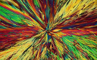 50 kb JPG microphoto of a benzoic acid crystal by Doug Craft