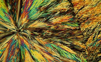 50 kb JPG microphoto of a benzoic acid crystal by Doug Craft