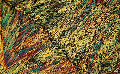 50 kb JPG microphoto of a benzoic acid crystal by Doug Craft