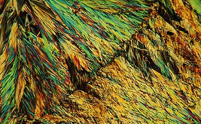 50 kb JPG microphoto of a benzoic acid crystal by Doug Craft