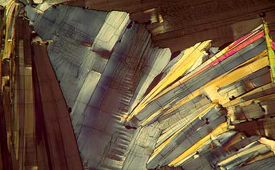 50 kb JPG microphoto of a benzoic acid crystal by Doug Craft