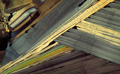 50 kb JPG microphoto of a benzoic acid crystal by Doug Craft