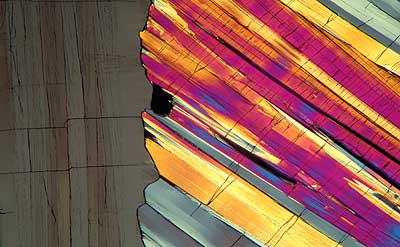 50 kb JPG microphoto of a benzoic acid crystal by Doug Craft