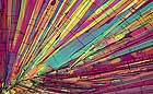 25-30 kb thumbnail JPG image of microphotograph by Doug Craft - links to larger image in right frame