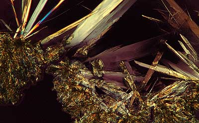 50 kb JPG microphoto of a benzoic acid crystal by Doug Craft