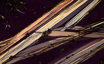 50 kb JPG microphoto of a benzoic acid crystal by Doug Craft