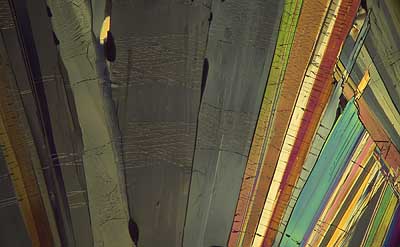 50 kb JPG microphoto of a benzoic acid crystal by Doug Craft