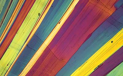 50 kb JPG microphoto of a benzoic acid crystal by Doug Craft