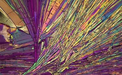 50 kb JPG microphoto of a benzoic acid crystal by Doug Craft